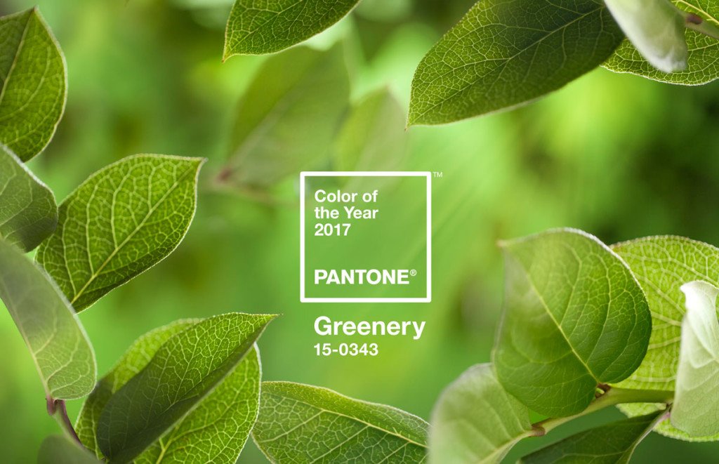 Pantone’s Colour of the Year 2017 is…. Greenery