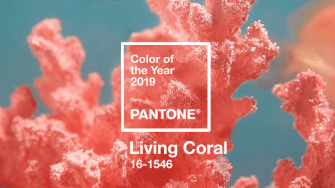 Pantone Colour Of The Year – Living Coral