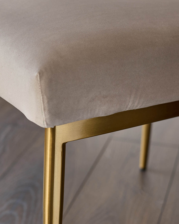 Keira velvet dining chair in champagne with gold metal frame, shown in close-up detail.