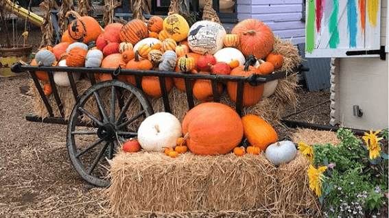 6 Fun Family Activities for Autumn Half Term