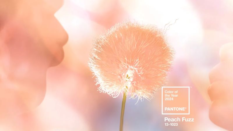 Pantone's Colour Of The Year 2024: Peach Fuzz