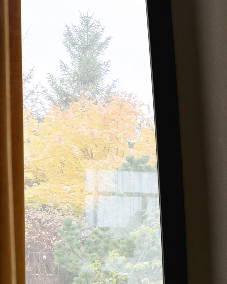 Black full-length leaner mirror reflecting autumn garden view with yellow foliage and evergreen trees.