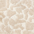 Champagne Abstract Fabric