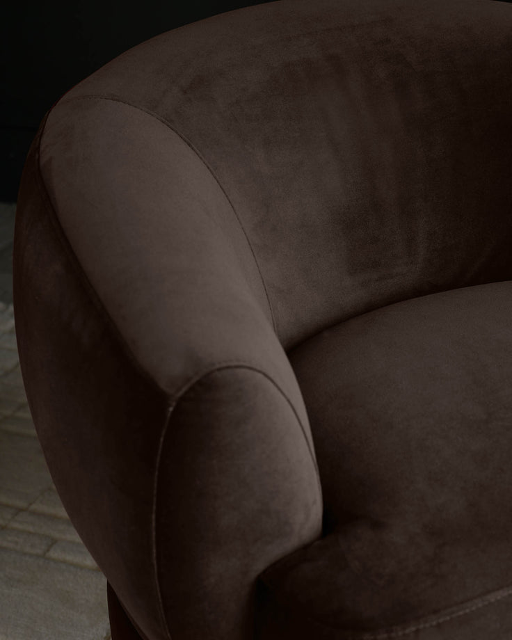 Close-up of a brown velvet armchair, showcasing its plush fabric and curved design, ideal for a cosy living space.