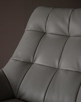 Canio Dark Grey Leather And Stainless Steel Accent Chair