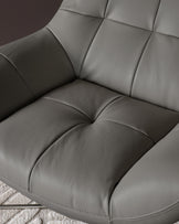 Canio Dark Grey Leather And Stainless Steel Accent Chair