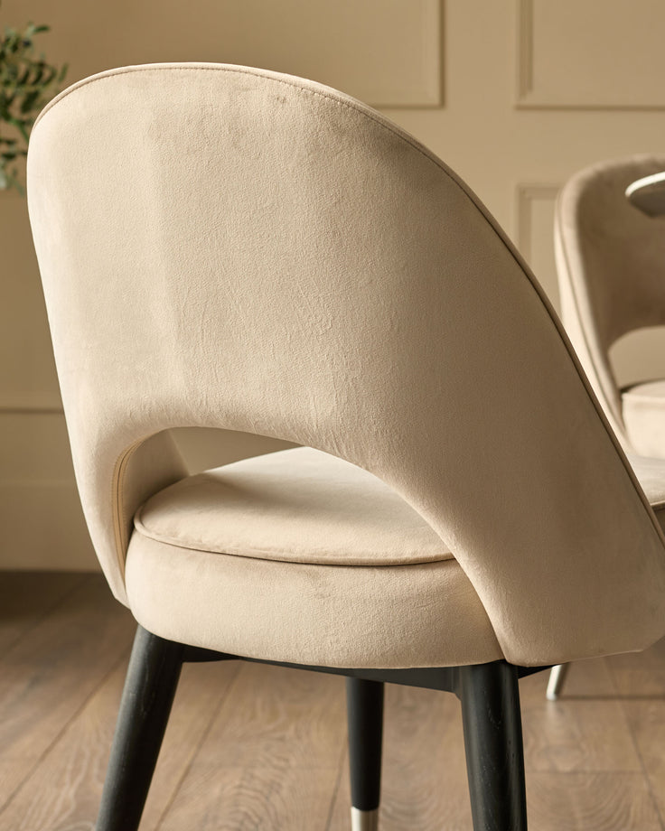 Clover Velvet Dining Chair in champagne, side view showing curved backrest and black legs with stainless steel caps.