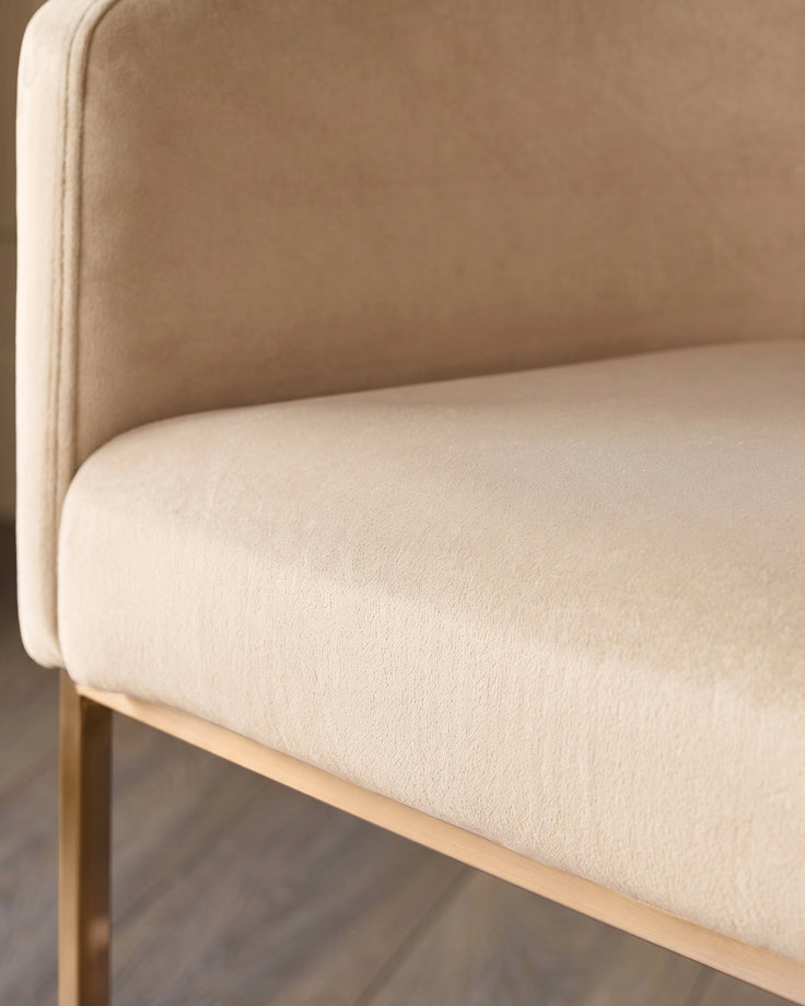 Dakota champagne velvet dining chair