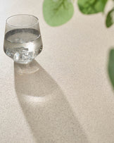 Glass of water on light grey speckled countertop with green plant leaves visible at top.