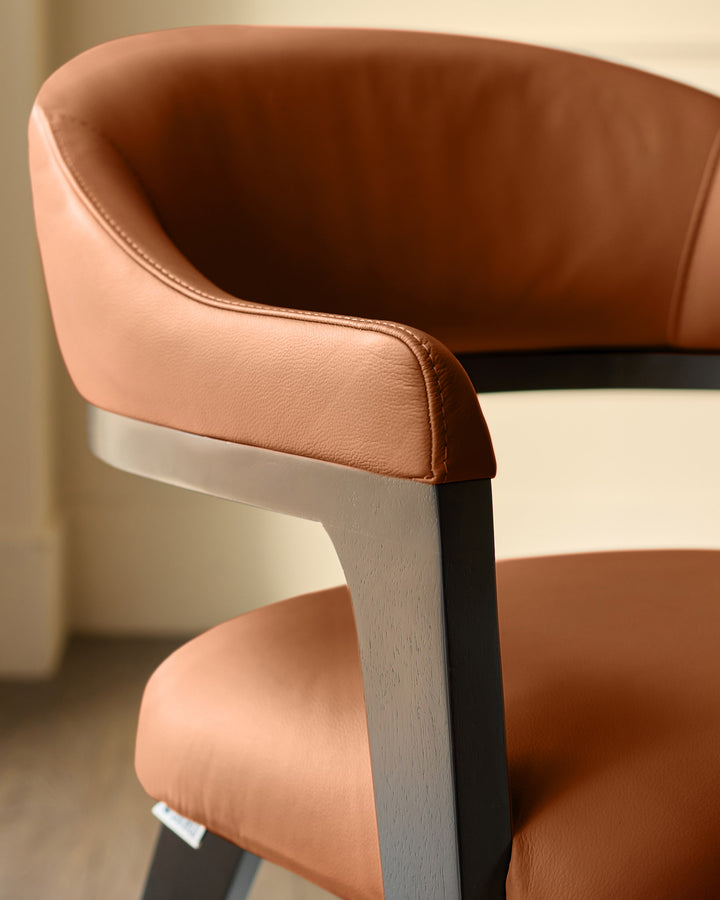 Dylan dining chair in tan leather, close-up of armrest and backrest showing curved design and wood frame detail.