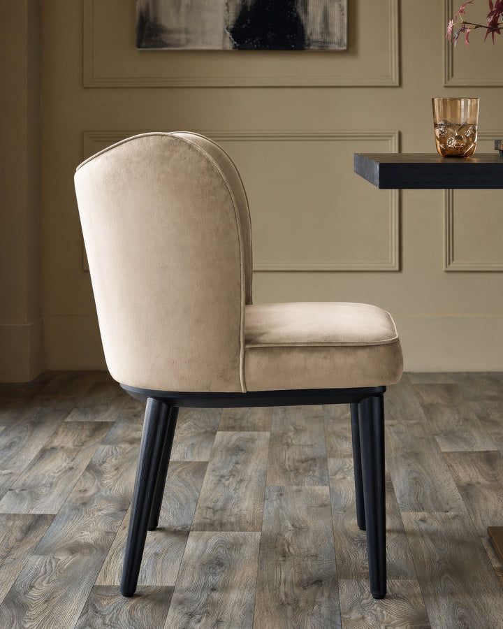 Evelyn dining chair in champagne velvet with black wooden legs, shown from rear angle in a styled interior setting.