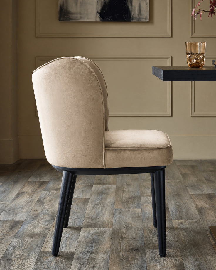 Evelyn dining chair in champagne velvet with black wooden legs, shown from rear angle in a styled interior setting.