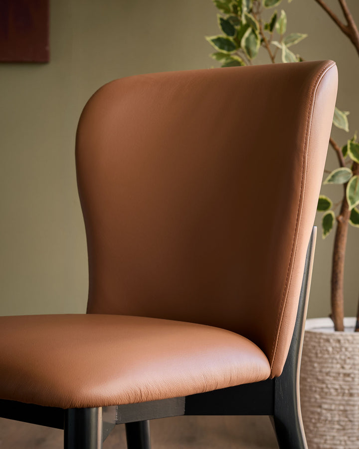 Franco tan leather dining chair - set of 2