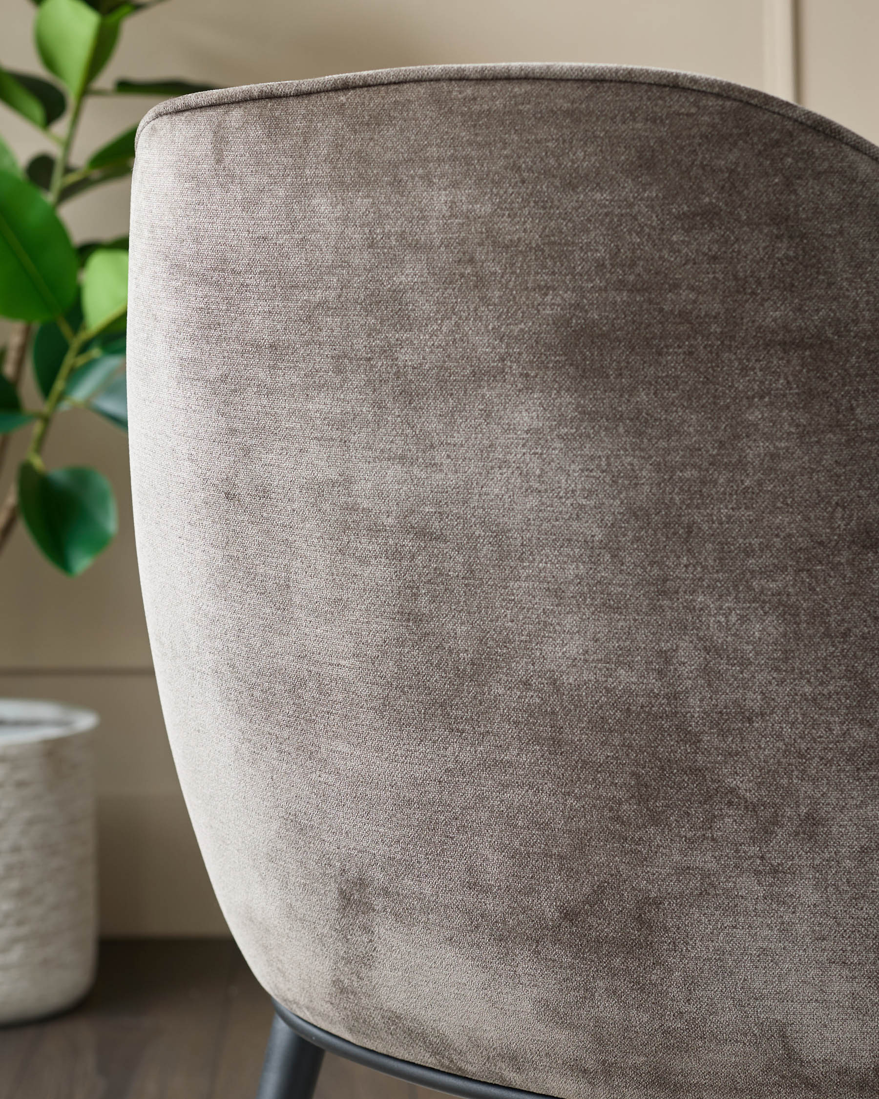 Close-up of a brown chair back with a house plant in the background, ideal for a living room or office space.