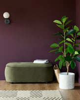 Olive green ottoman with books and a plant. Interior design with dark walls, hardwood flooring and a geometric rug.