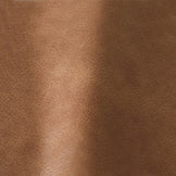 Tan Autograph Leather