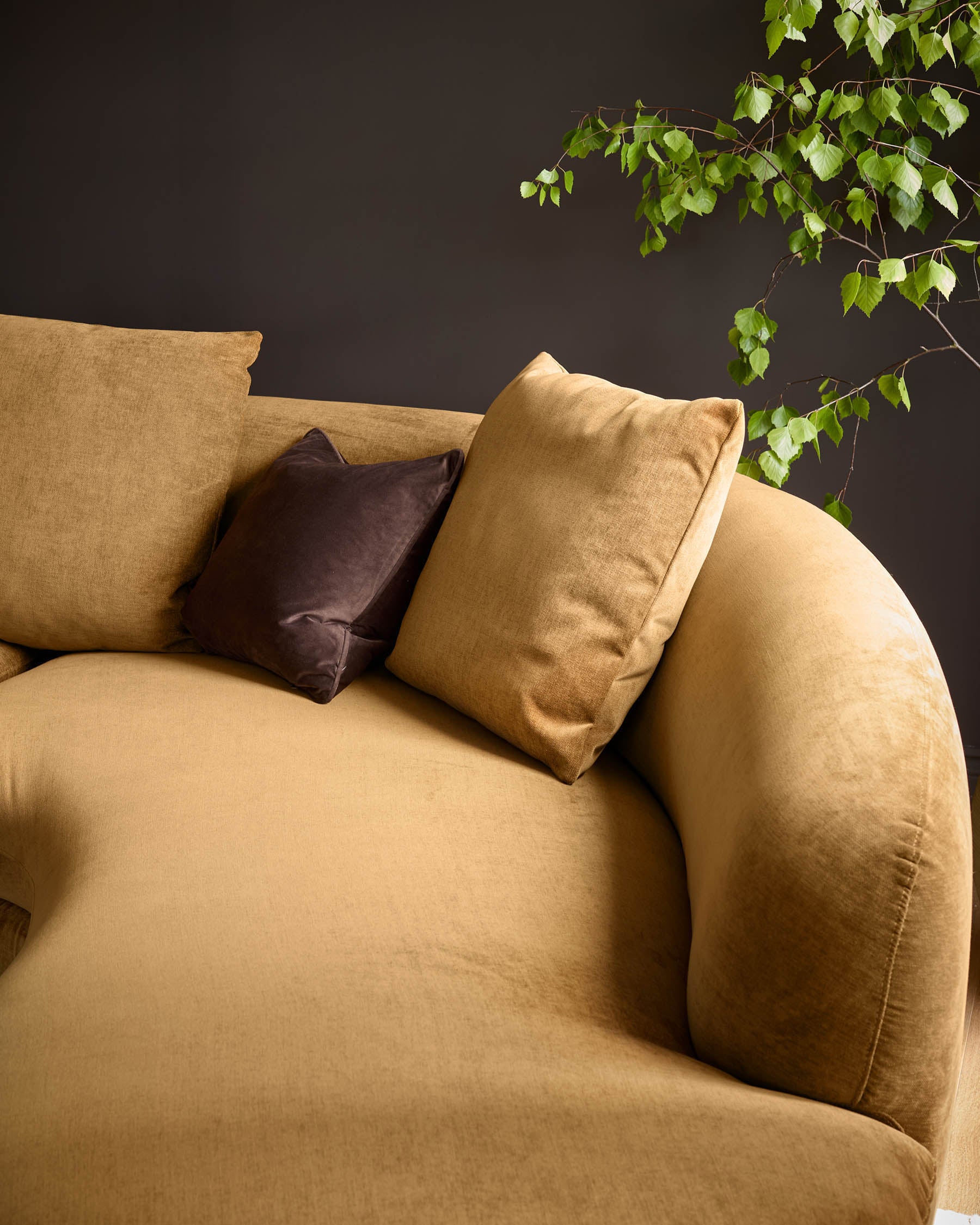 Ochre fabric right-hand corner chaise sofa with curved armrest, styled with tan and dark brown cushions against dark wall with trailing ivy.