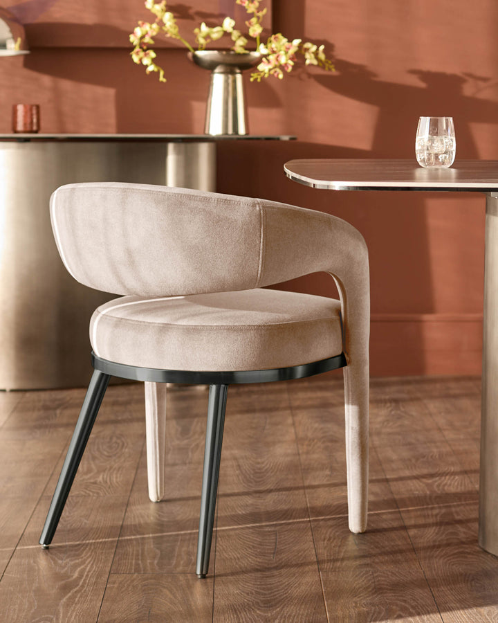 Rhett dining chair in champagne velvet with curved backrest, black metal legs, positioned at wooden table in warm terracotta interior.