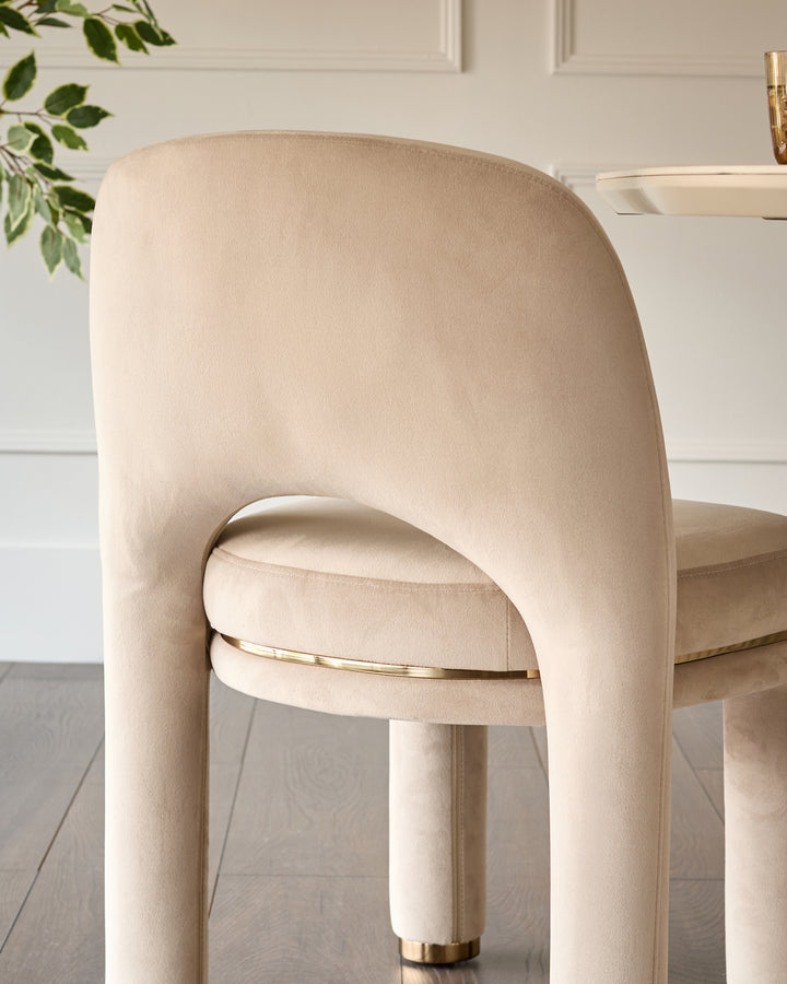Shay dining chair in champagne velvet, shown from back view with curved backrest and gold leg detail.