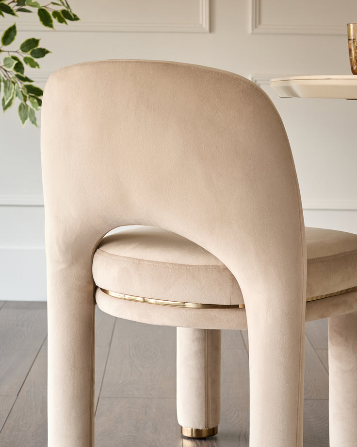 Shay dining chair in champagne velvet, shown from back view with curved backrest and gold leg detail.