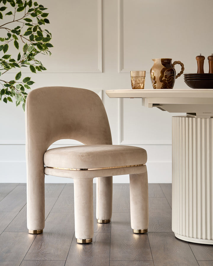 Shay dining chair in champagne velvet with curved back, cylindrical legs, and brass foot caps, positioned at white shelf.