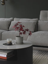 Arianna Light Grey Corner Chaise (Left Hand)