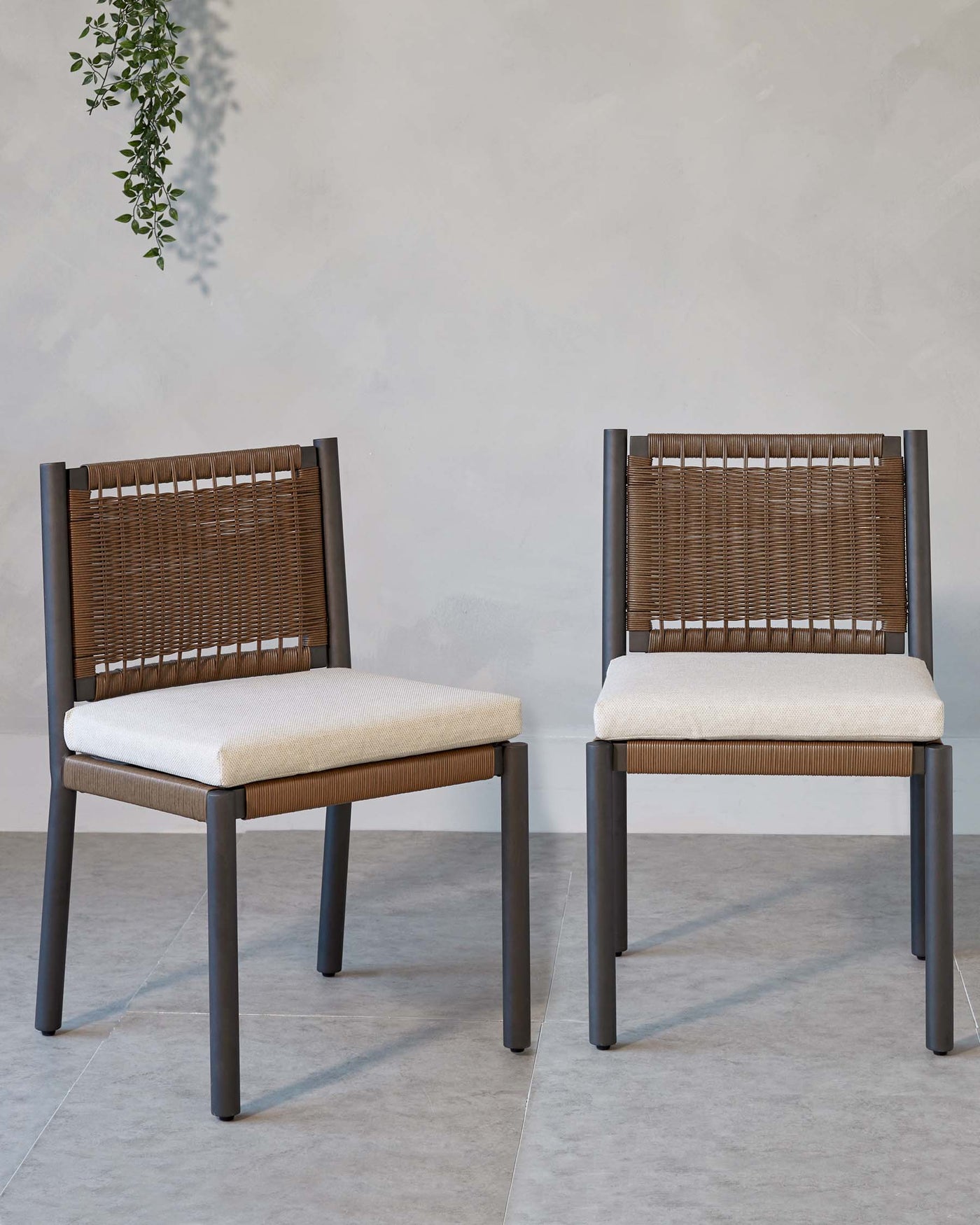 Two modern dining chairs with dark metal frames and tan woven backrests, complemented by off-white cushioned seats, standing on a smooth grey floor against a neutral wall with a trailing green plant in the top left corner.