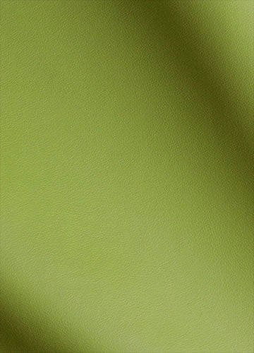 swatch lime weave fabric